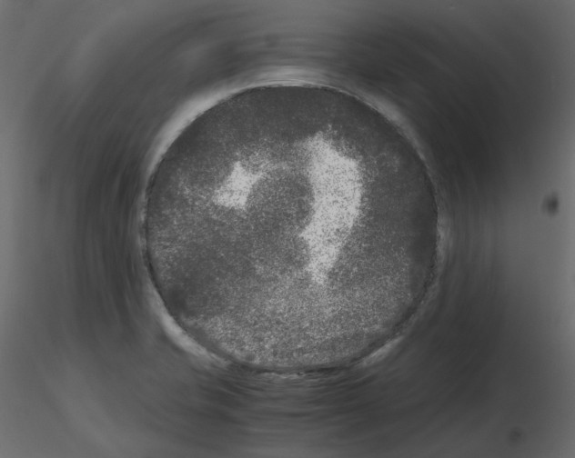 X0000115721421200912241555