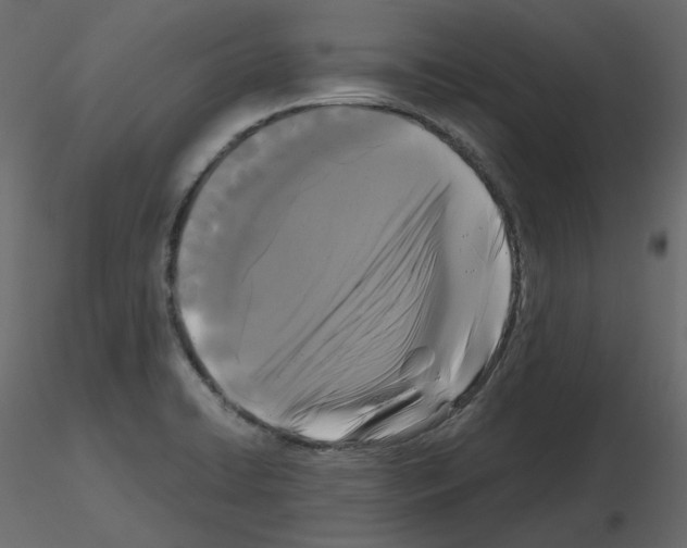 X0000115721422200912241555