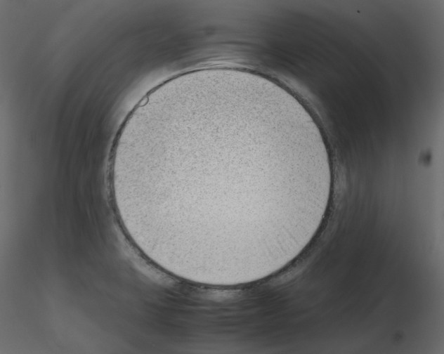 X0000115721423200912241555