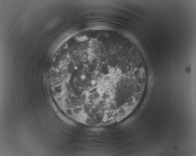 X0000115721425200912241555