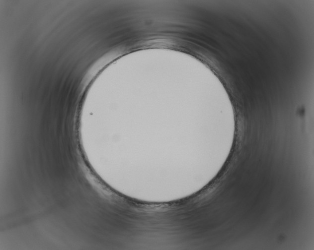X0000115721426200912241555