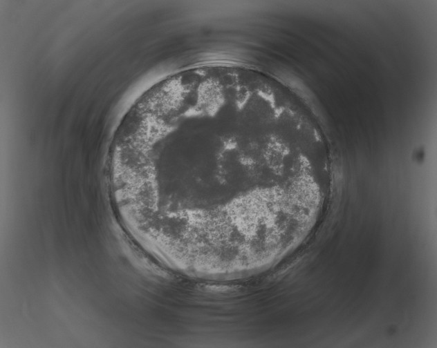 X0000115721427200912241555