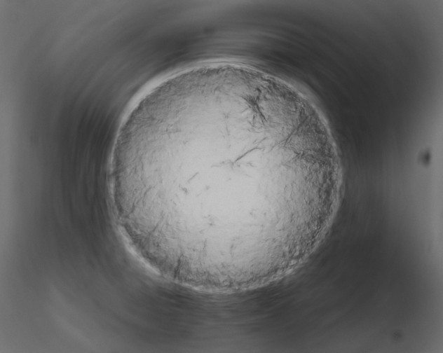 X0000115721428200912241555