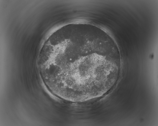 X0000115721429200912241555