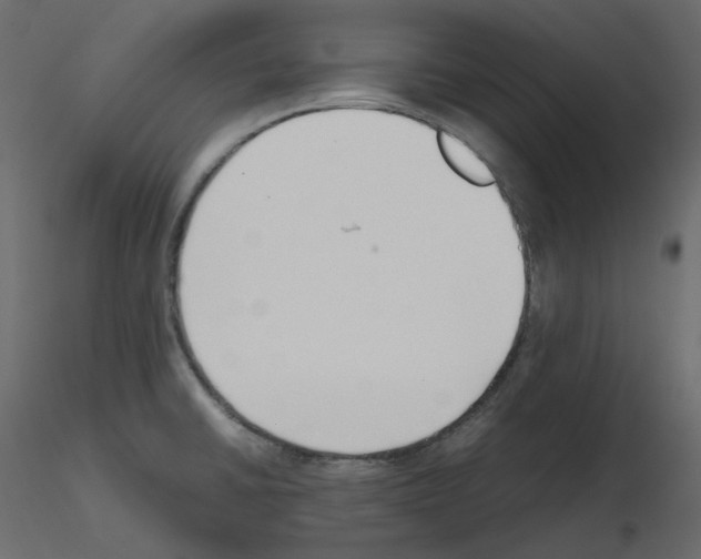 X0000115721430200912241555