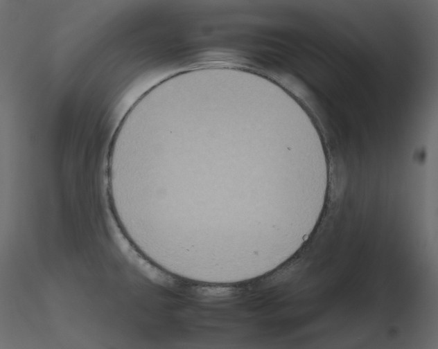 X0000115721431200912241555