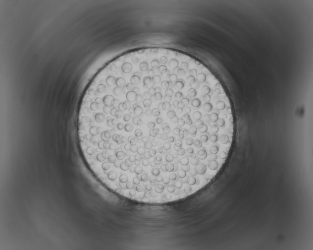 X0000115721432200912241555