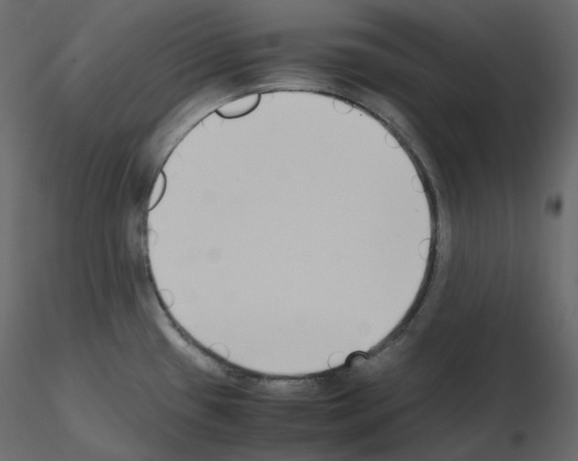 X0000115721433200912241555