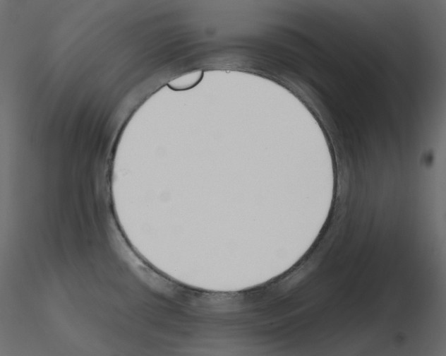 X0000115721434200912241555