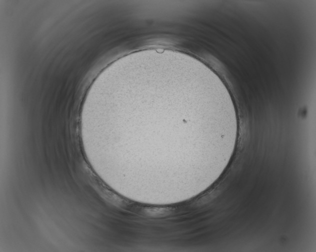 X0000115721435200912241555