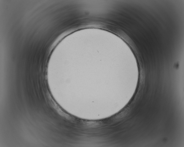 X0000115721436200912241555