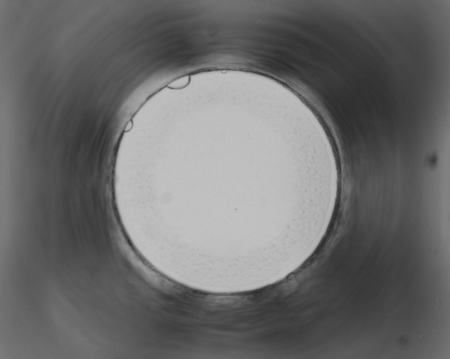 X0000115721437200912241555
