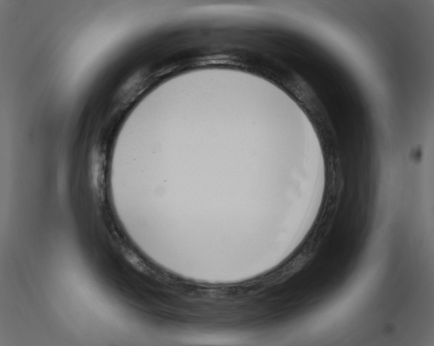X0000115721438200912241555