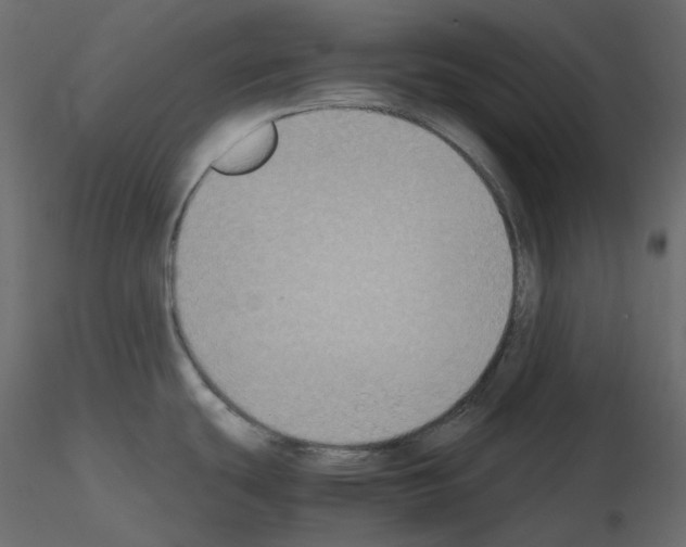 X0000115721439200912241555