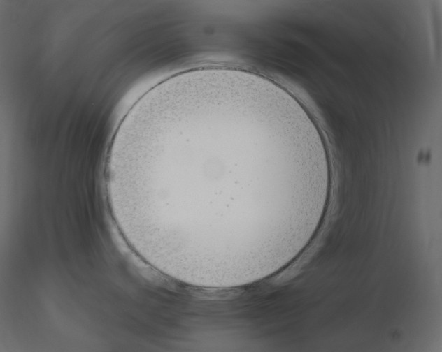 X0000115721440200912241556