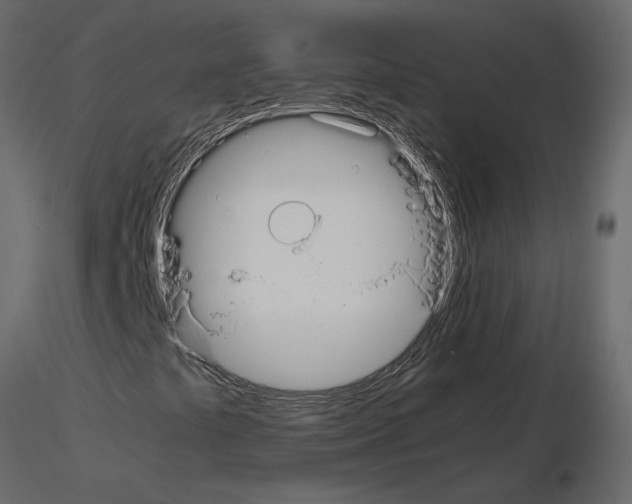 X0000115721441200912241555