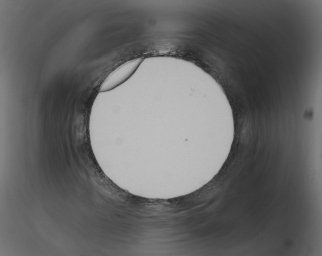 X0000115721442200912241555