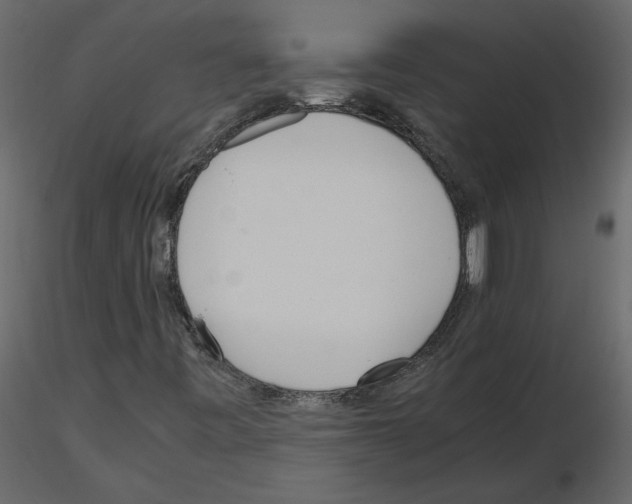 X0000115721443200912241555