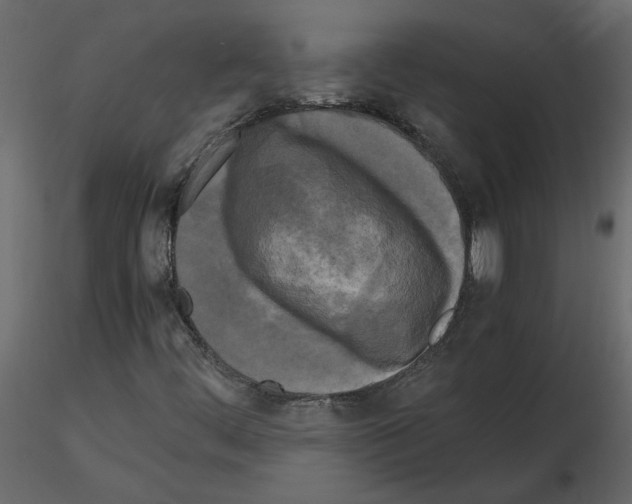 X0000115721444200912241555