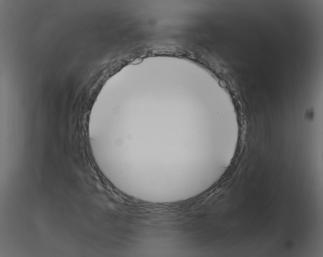 X0000115721445200912241555