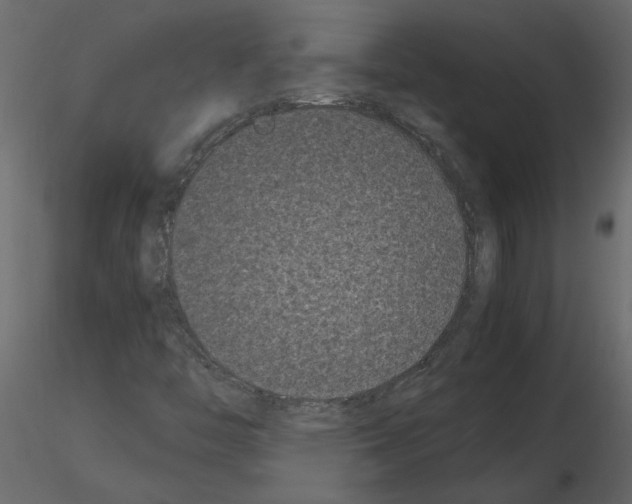 X0000115721446200912241555