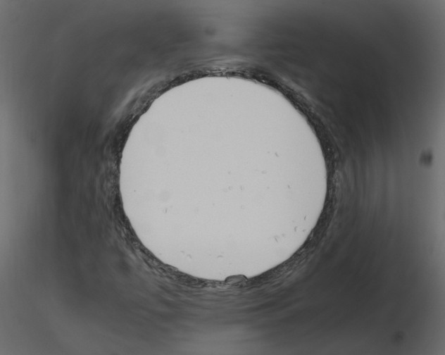 X0000115721447200912241555