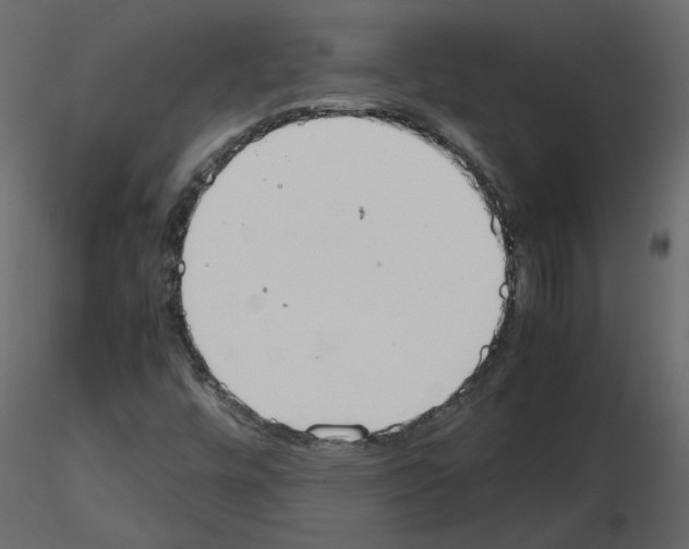 X0000115721448200912241555