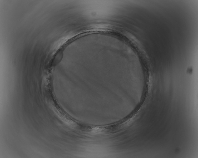 X0000115721449200912241555