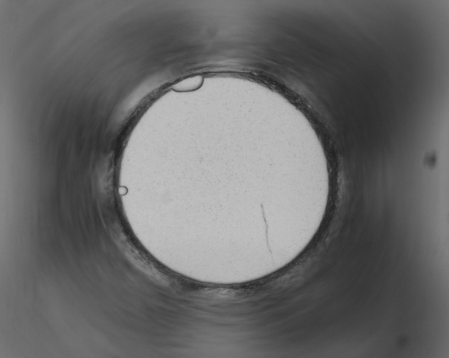 X0000115721450200912241555