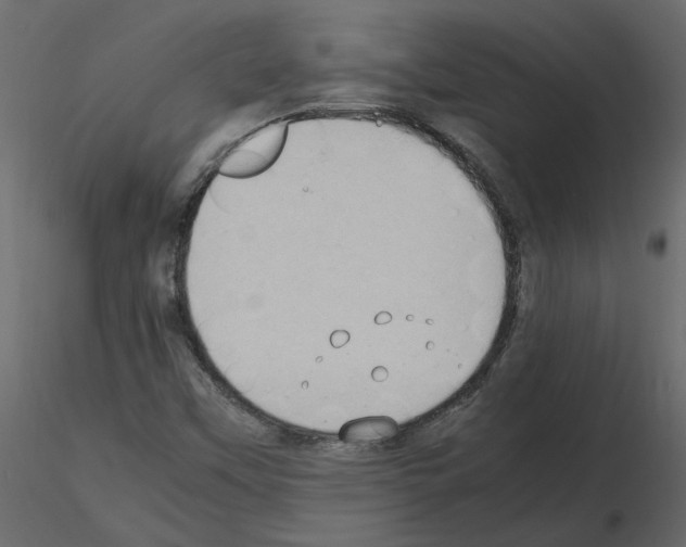 X0000115721451200912241555