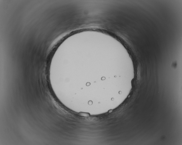 X0000115721452200912241555