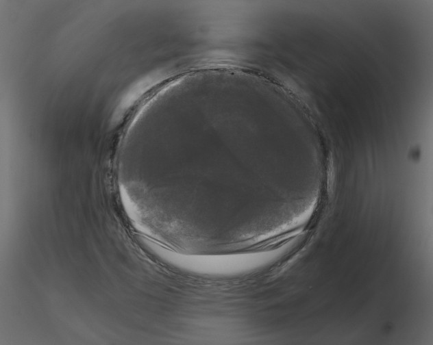 X0000115721453200912241555