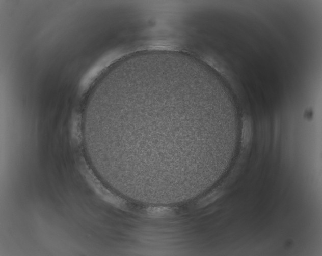 X0000115721454200912241555