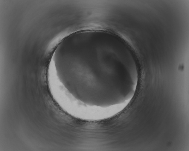 X0000115721455200912241555