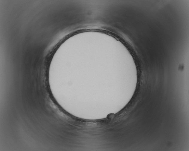 X0000115721456200912241555
