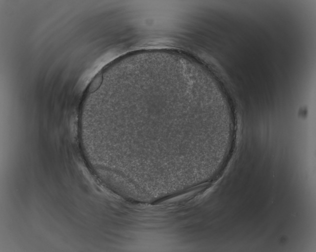 X0000115721457200912241555