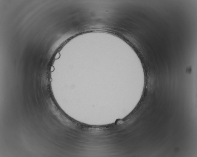 X0000115721458200912241555