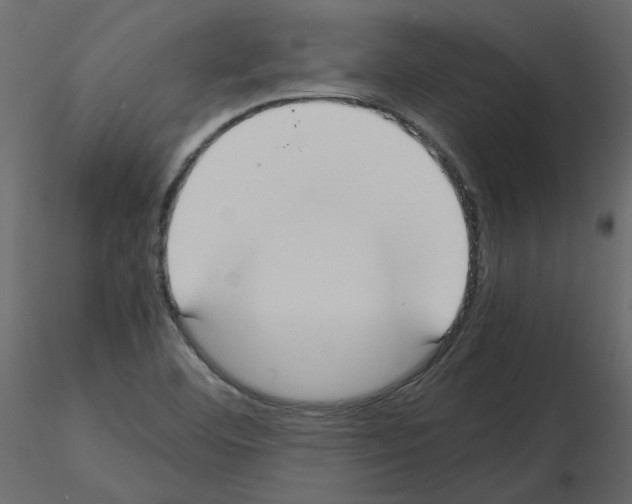 X0000115721460200912241555