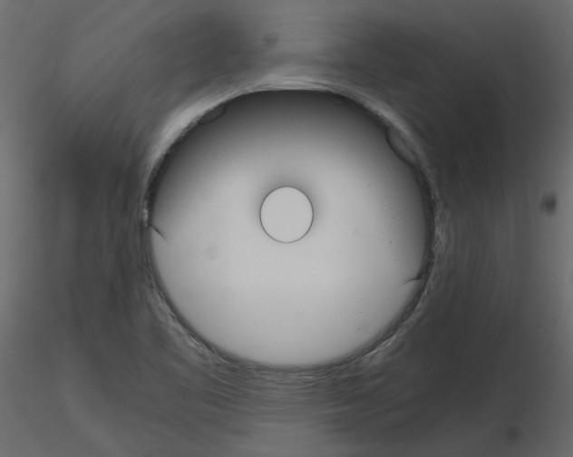 X0000115721461200912241555