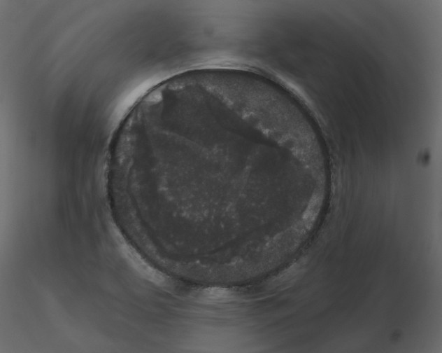 X0000115721463200912241555
