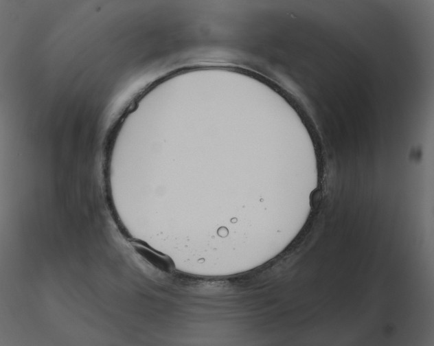 X0000115721464200912241555