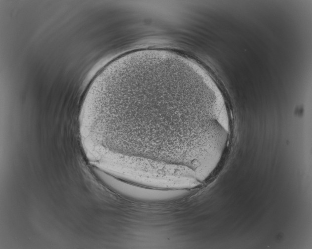 X0000115721465200912241555