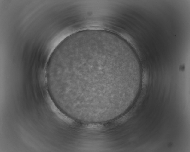 X0000115721466200912241555