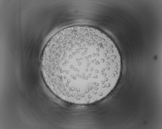 X0000115721467200912241555