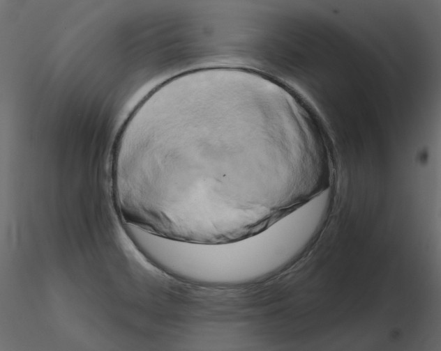 X0000115721468200912241554
