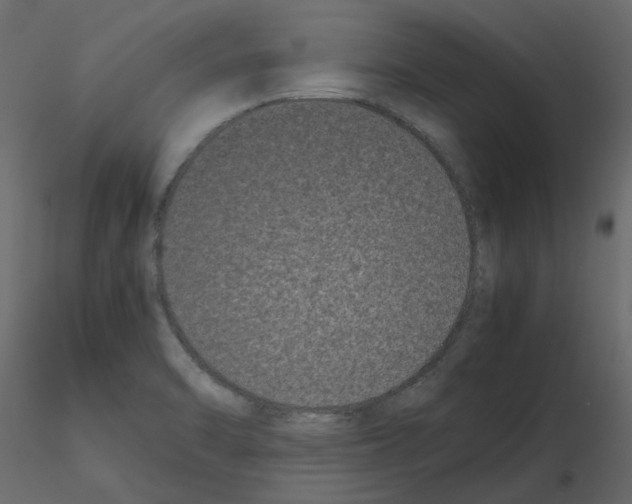 X0000115721470200912241554