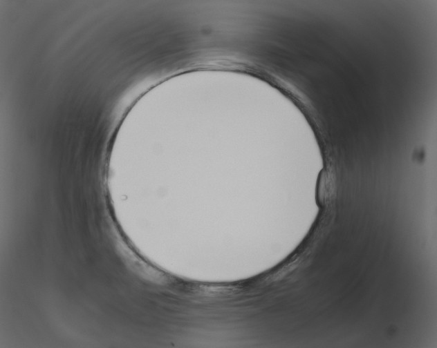X0000115721471200912241554