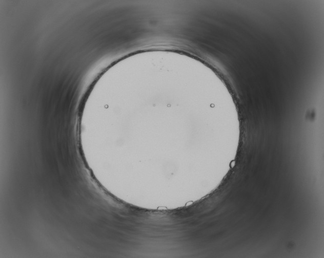 X0000115721472200912241554