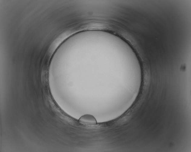 X0000115721473200912241554