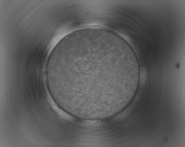 X0000115721474200912241554